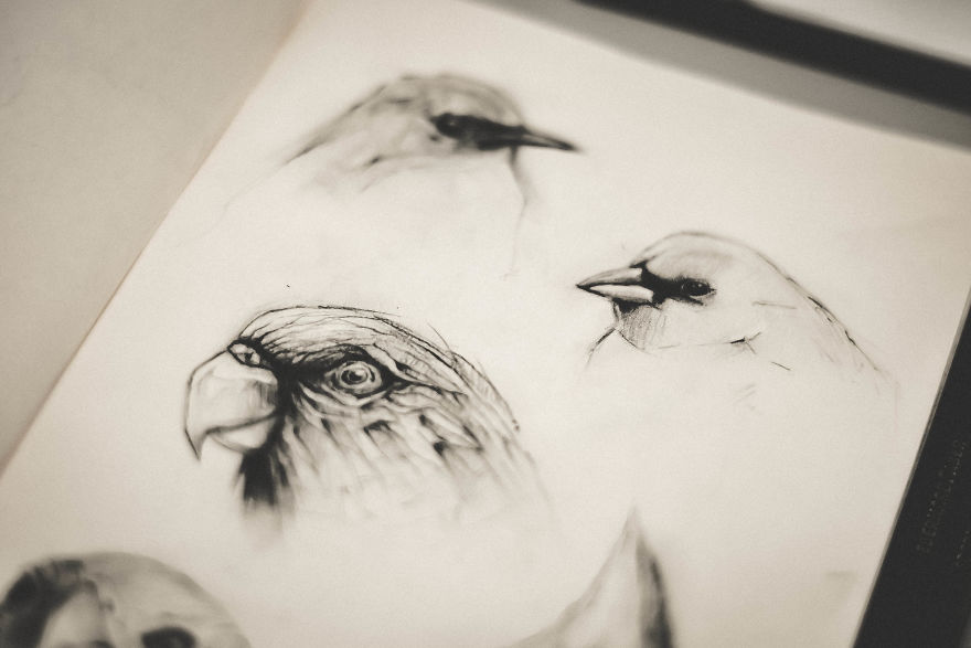 My Sketchbook Drawing Collection Of Animals 2017-18