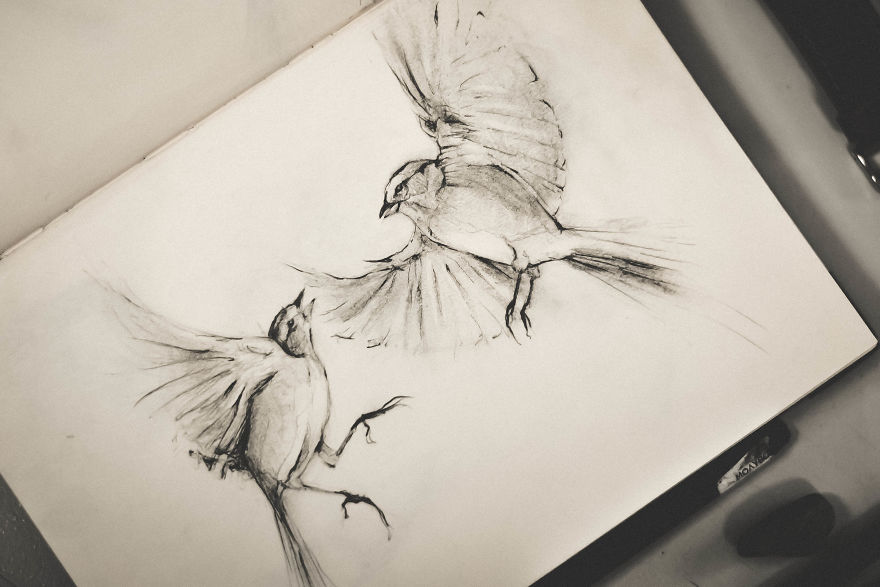 My Sketchbook Drawing Collection Of Animals 2017-18