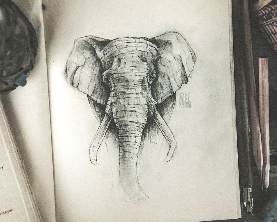 My Sketchbook Drawing Collection Of Animals 2017-18