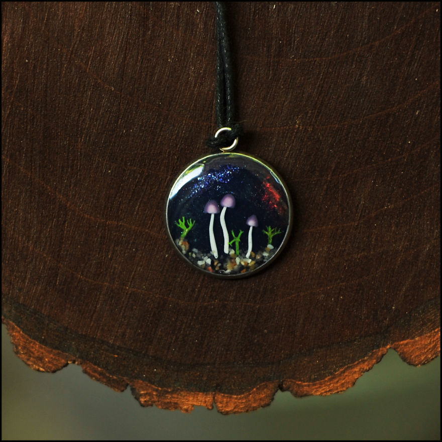 I Want To Show You The Cozy Forest Microcosms, Created By Me I Want To Show You The Cozy Forest Microcosms, Created By Me