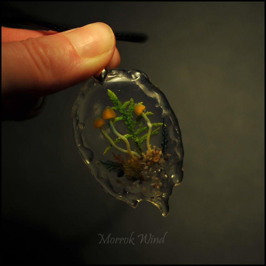 I Want To Show You The Cozy Forest Microcosms, Created By Me I Want To Show You The Cozy Forest Microcosms, Created By Me