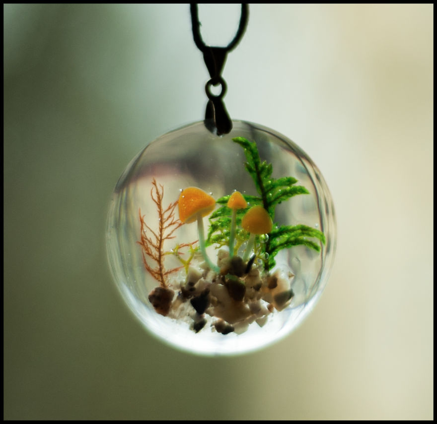 I Want To Show You The Cozy Forest Microcosms, Created By Me I Want To Show You The Cozy Forest Microcosms, Created By Me