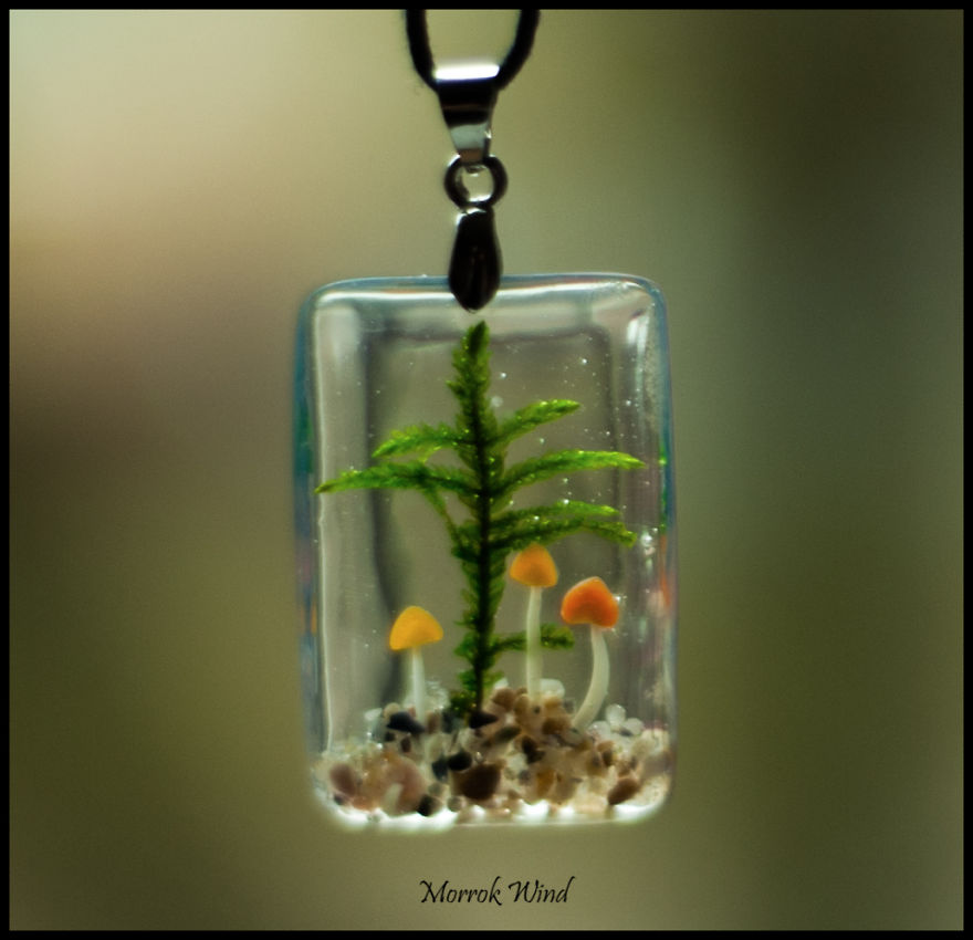 I Want To Show You The Cozy Forest Microcosms, Created By Me I Want To Show You The Cozy Forest Microcosms, Created By Me