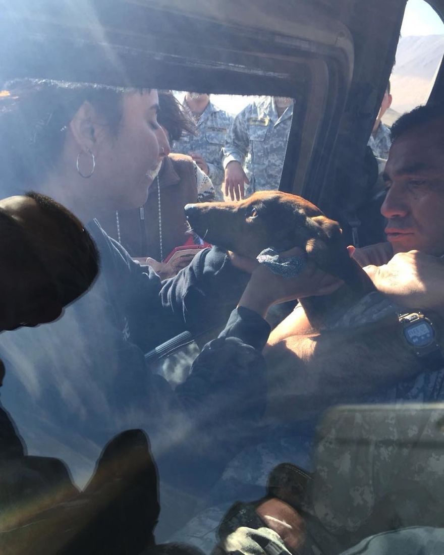 Dog Survives 6 Days In The Desert After Falling Off The Plane