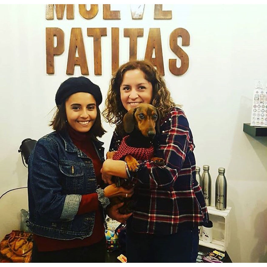 Dog Survives 6 Days In The Desert After Falling Off The Plane