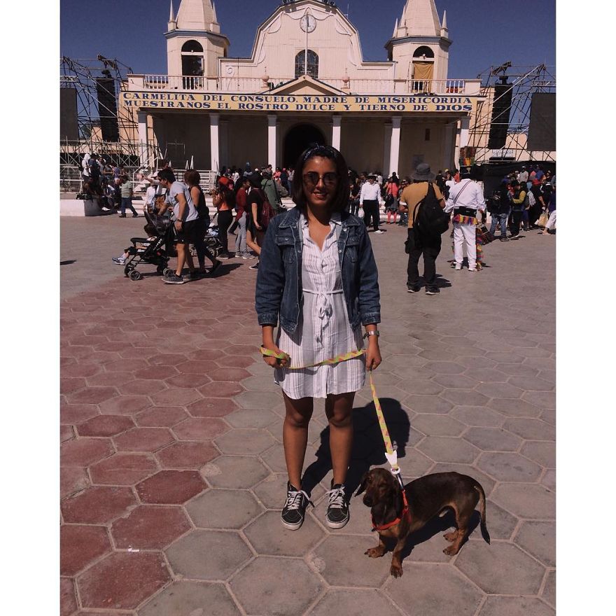 Dog Survives 6 Days In The Desert After Falling Off The Plane