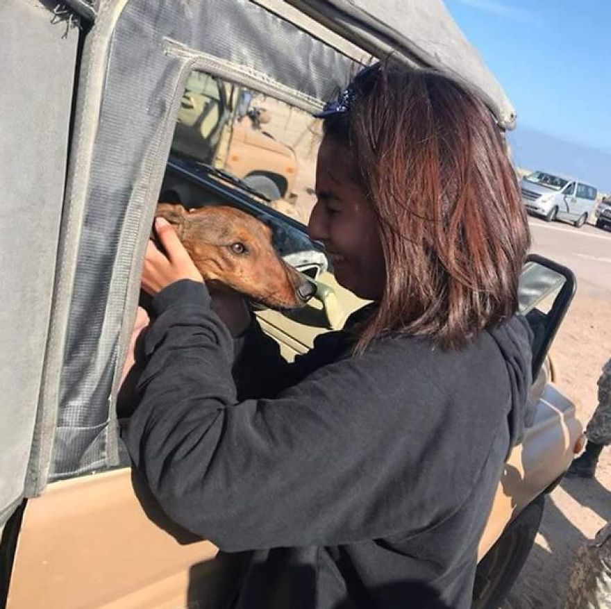 Dog Survives 6 Days In The Desert After Falling Off The Plane