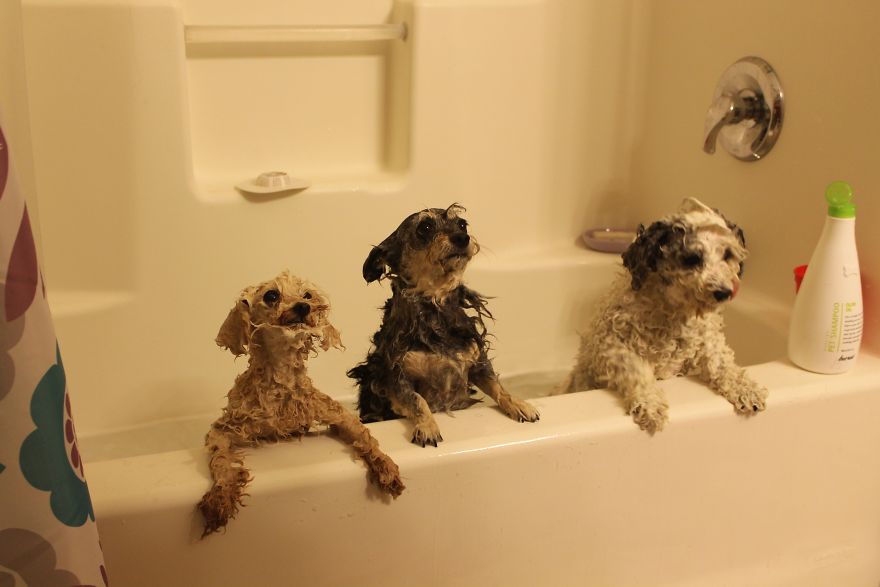 Don't Look At Me Like That, For God's Sake! I'm Doing This For Your Own Good.