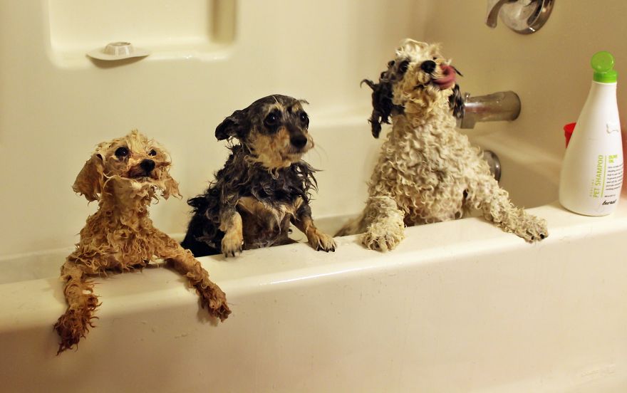 Don't Look At Me Like That, For God's Sake! I'm Doing This For Your Own Good.