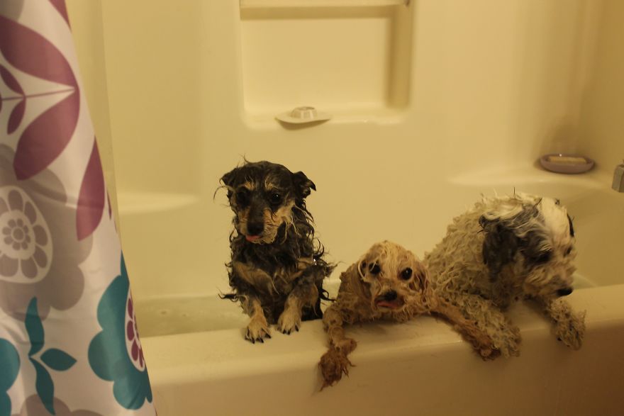 Don't Look At Me Like That, For God's Sake! I'm Doing This For Your Own Good.