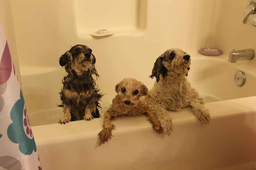 Don't Look At Me Like That, For God's Sake! I'm Doing This For Your Own Good.