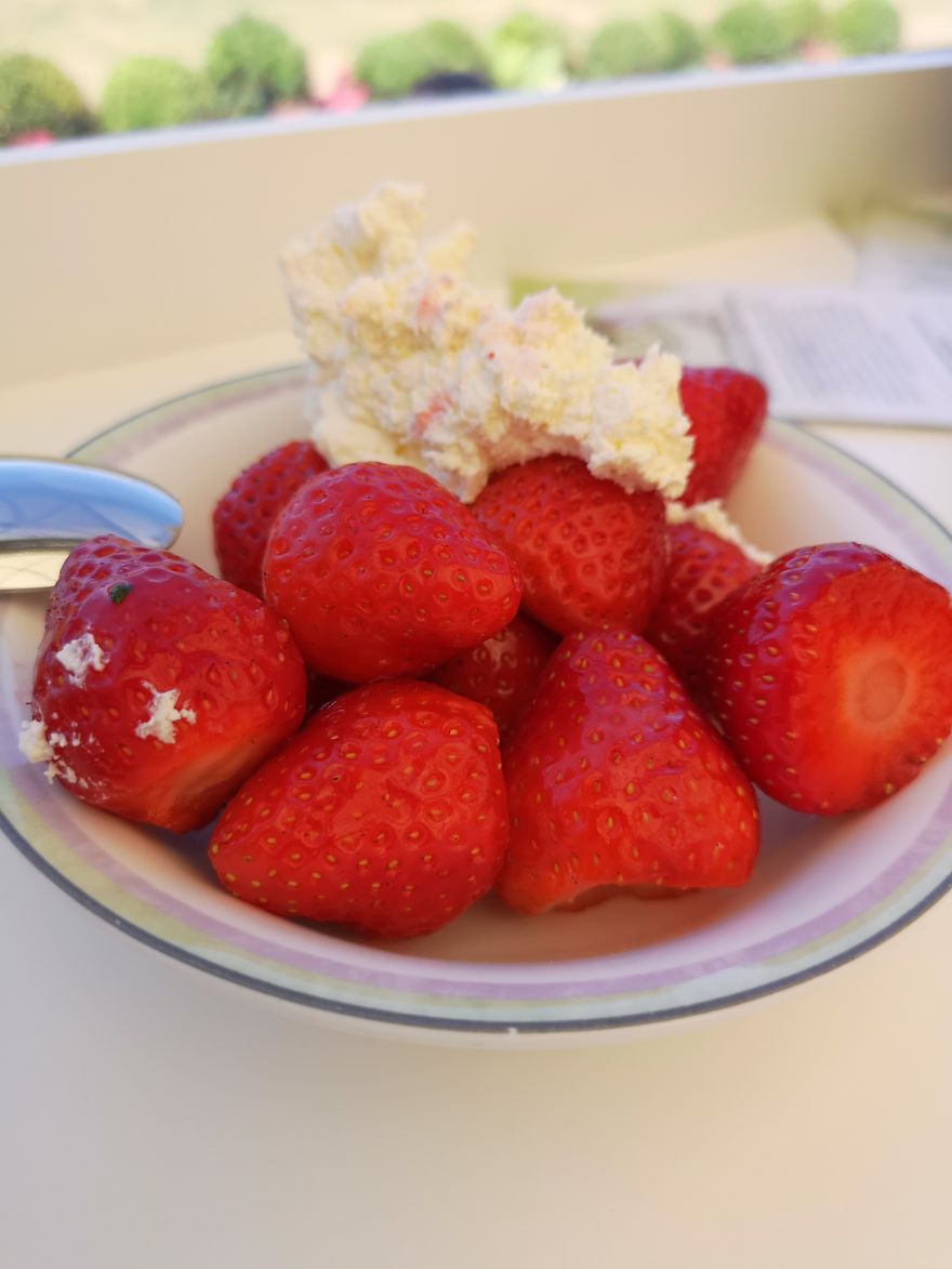 Dreams Do Come True! I Went To Wimbledon 2018 And It Totally Blew My Mind