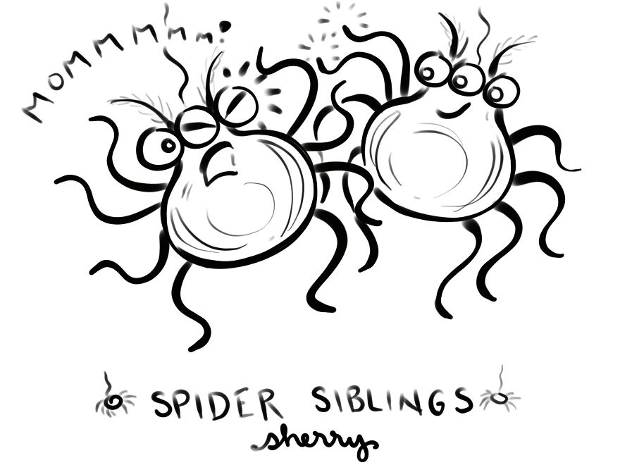 Silly Spiders Trying To Skate On Glass