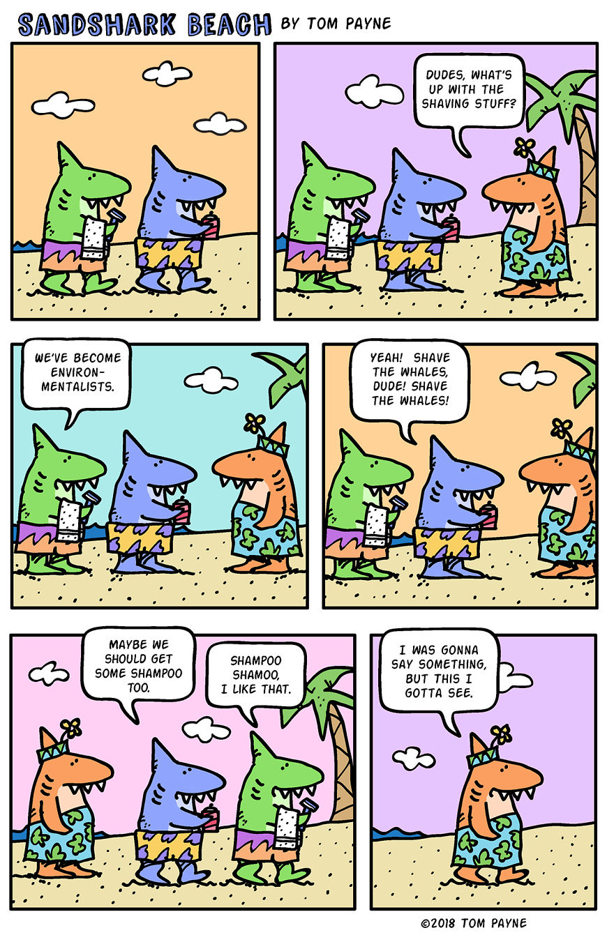 Every Week Is Shark Week At Sandshark Beach.