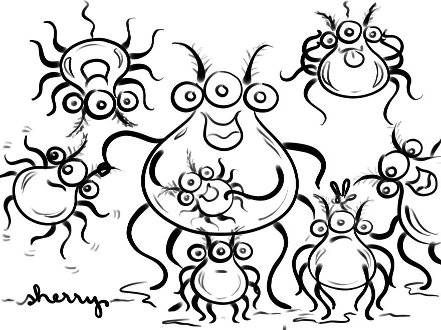 Silly Spiders Trying To Skate On Glass