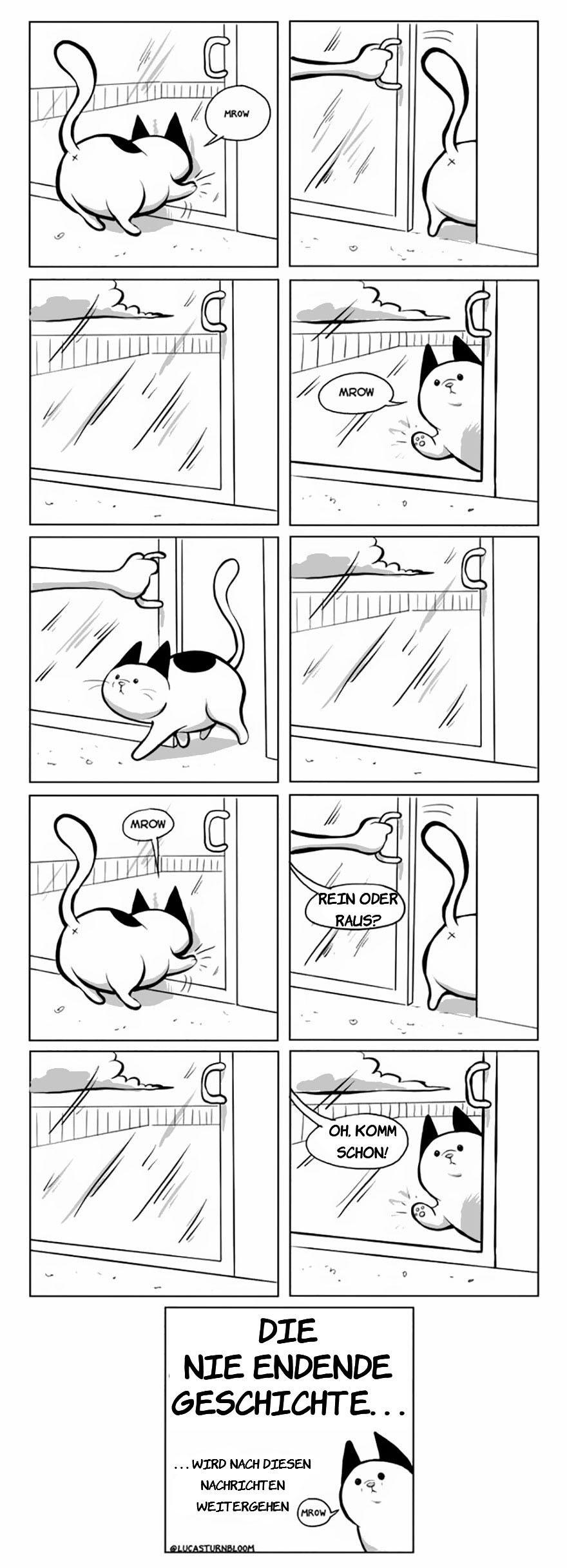 From Rescue Cat To 'How To Cat'