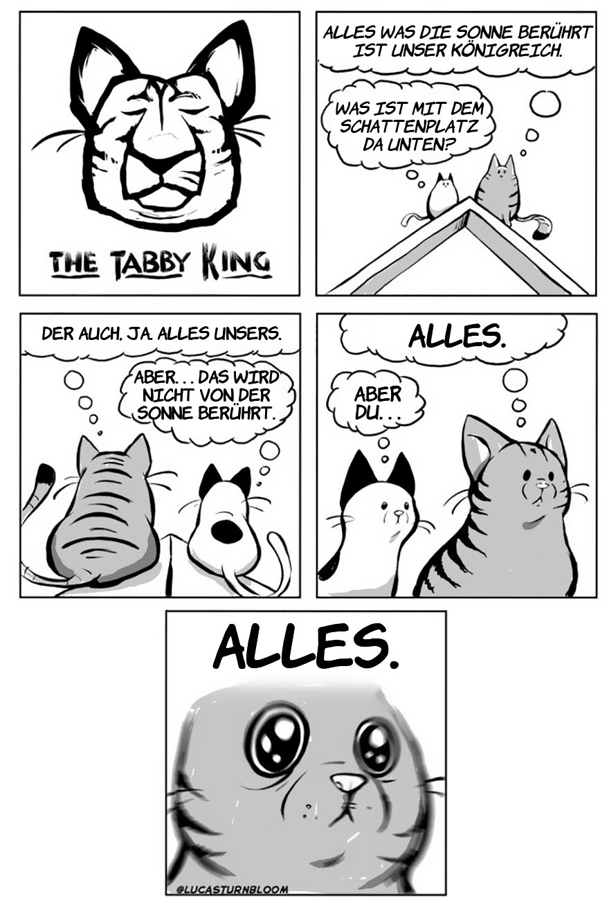 From Rescue Cat To 'How To Cat'