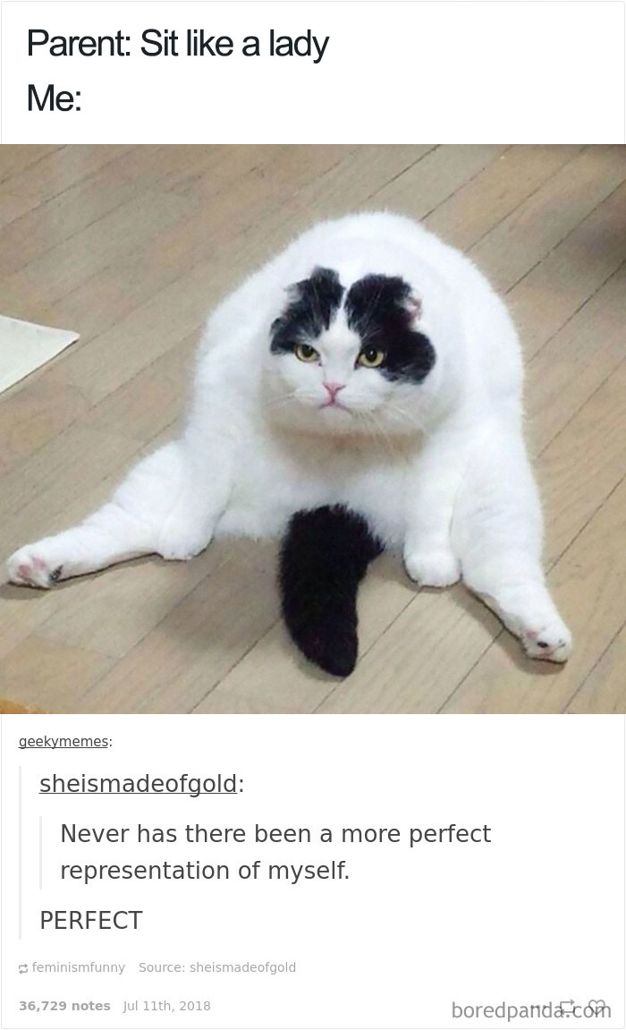 Funny Women Tumblr Posts