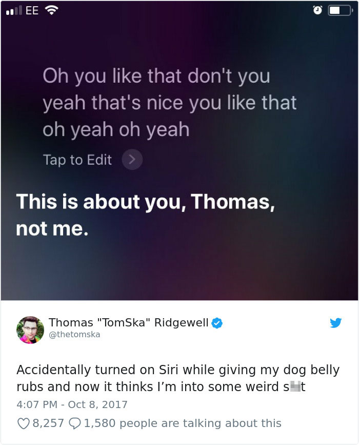 Hilarious-Dog-Tweets