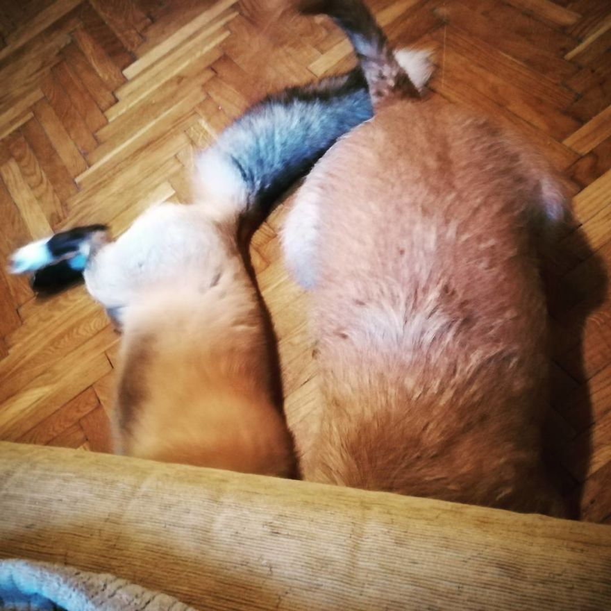 How Jay & Sajmon Are Leaving After 2 Years