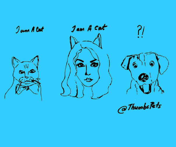 Everyone Wants To Be A Cat...