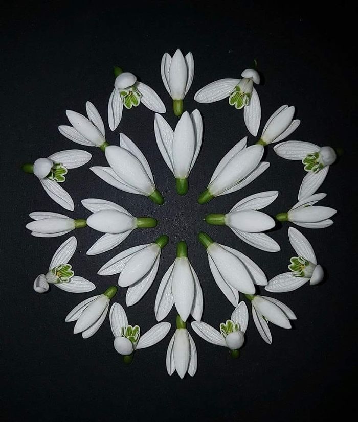 I Create Mandalas Out Of Nature Materials As A Way Of Meditation