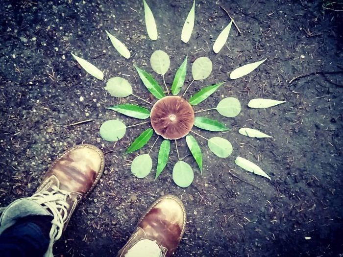 I Create Mandalas Out Of Nature Materials As A Way Of Meditation