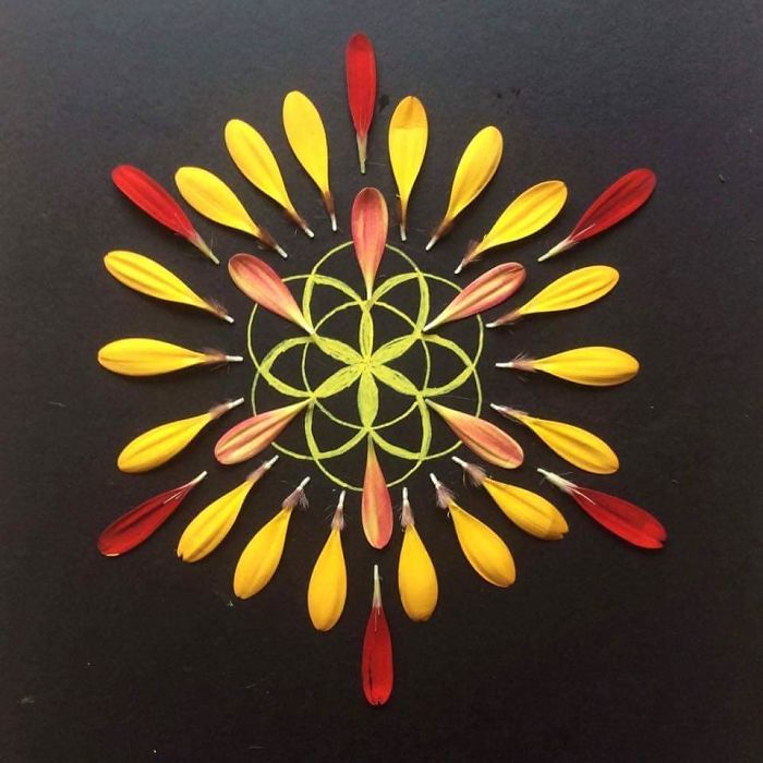 I Create Mandalas Out Of Nature Materials As A Way Of Meditation
