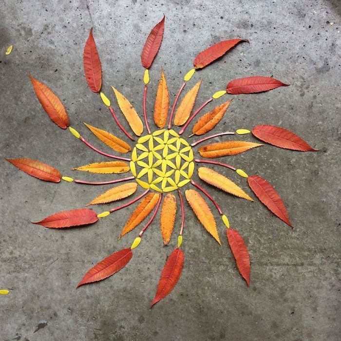 I Create Mandalas Out Of Nature Materials As A Way Of Meditation