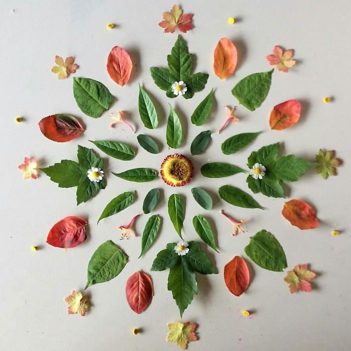 I Create Mandalas Out Of Nature Materials As A Way Of Meditation