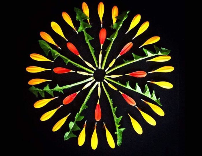 I Create Mandalas Out Of Nature Materials As A Way Of Meditation