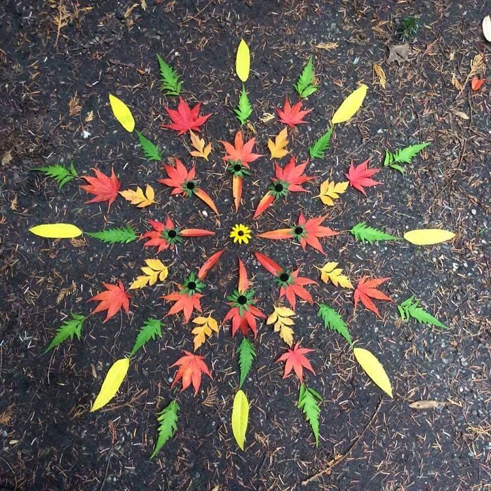 I Create Mandalas Out Of Nature Materials As A Way Of Meditation