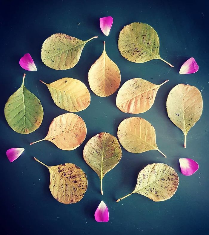 I Create Mandalas Out Of Nature Materials As A Way Of Meditation