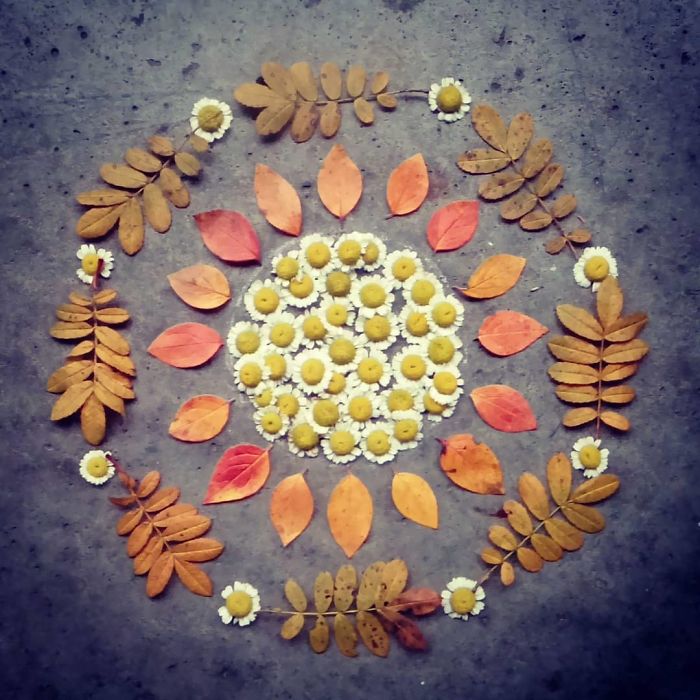 I Create Mandalas Out Of Nature Materials As A Way Of Meditation