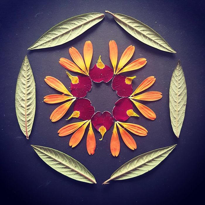 I Create Mandalas Out Of Nature Materials As A Way Of Meditation
