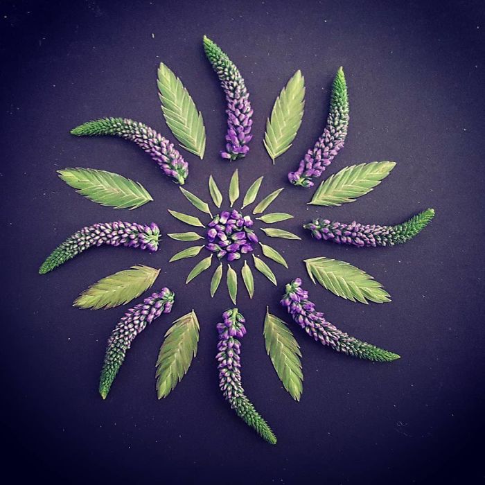 I Create Mandalas Out Of Nature Materials As A Way Of Meditation