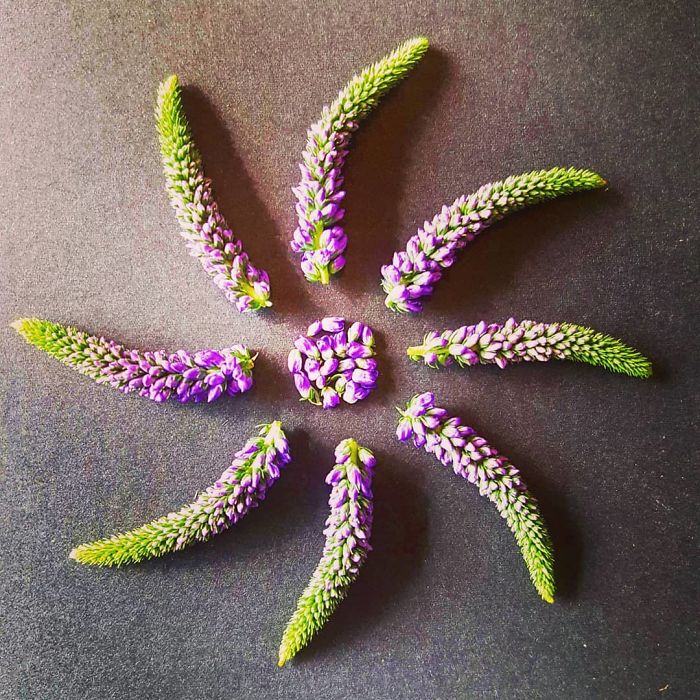 I Create Mandalas Out Of Nature Materials As A Way Of Meditation