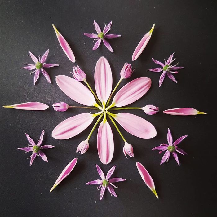 I Create Mandalas Out Of Nature Materials As A Way Of Meditation