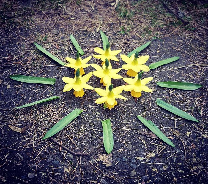 I Create Mandalas Out Of Nature Materials As A Way Of Meditation