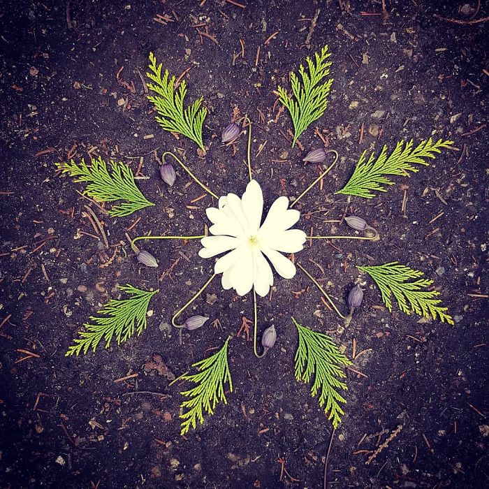 I Create Mandalas Out Of Nature Materials As A Way Of Meditation
