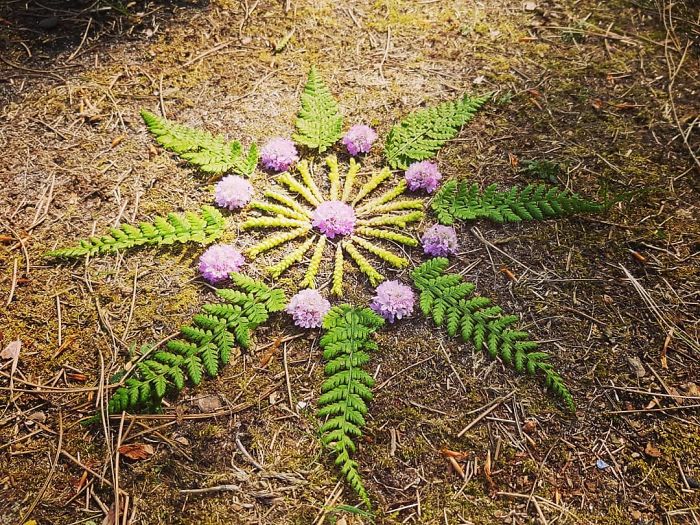 I Create Mandalas Out Of Nature Materials As A Way Of Meditation