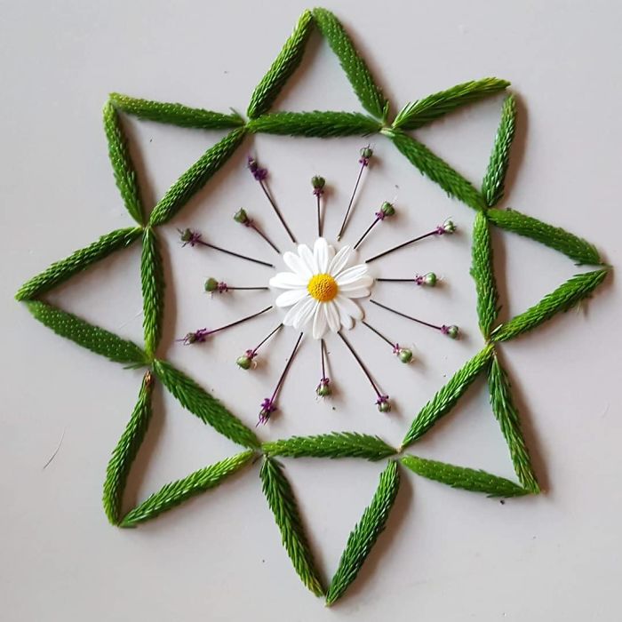 I Create Mandalas Out Of Nature Materials As A Way Of Meditation
