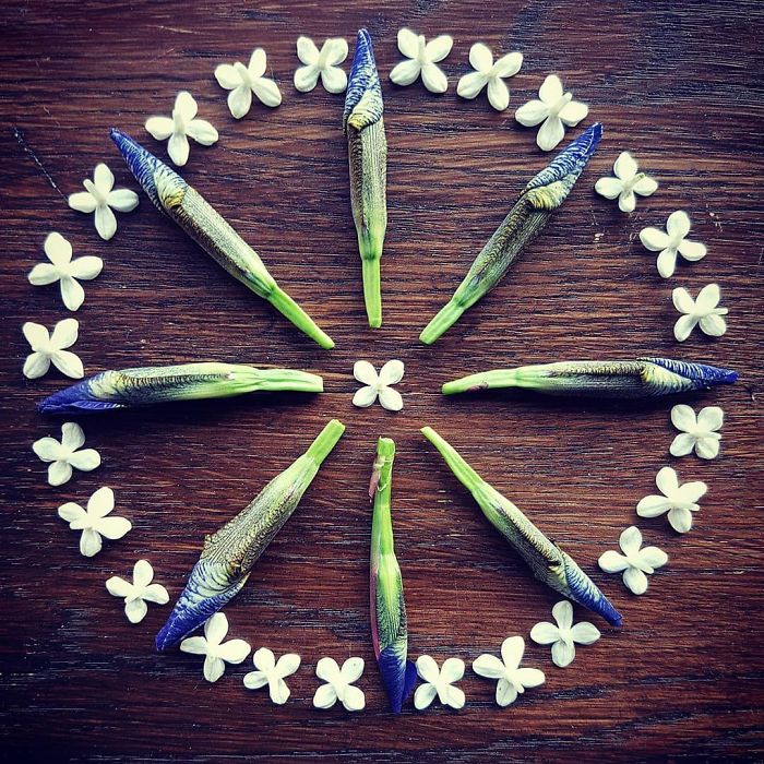 I Create Mandalas Out Of Nature Materials As A Way Of Meditation