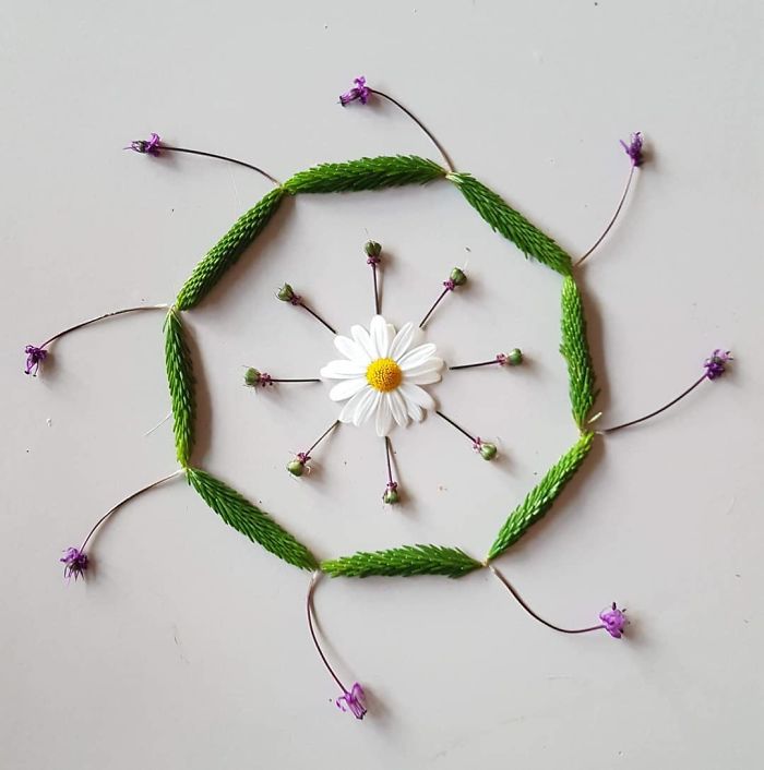 I Create Mandalas Out Of Nature Materials As A Way Of Meditation