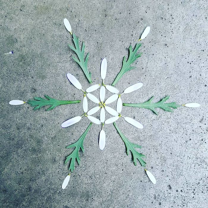 I Create Mandalas Out Of Nature Materials As A Way Of Meditation