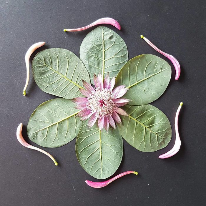 I Create Mandalas Out Of Nature Materials As A Way Of Meditation