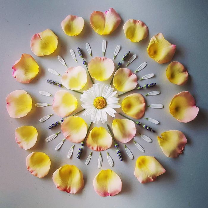 I Create Mandalas Out Of Nature Materials As A Way Of Meditation