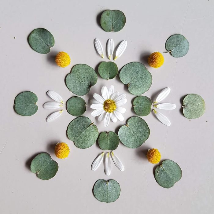 I Create Mandalas Out Of Nature Materials As A Way Of Meditation