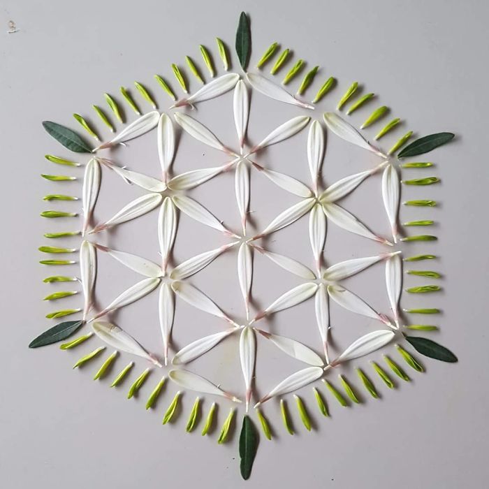 I Create Mandalas Out Of Nature Materials As A Way Of Meditation