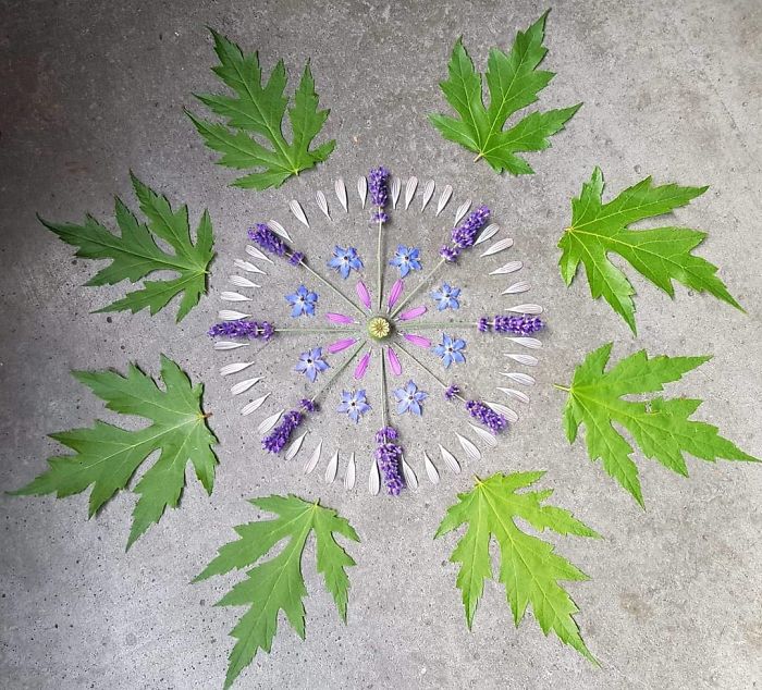 I Create Mandalas Out Of Nature Materials As A Way Of Meditation